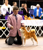 Dogshow 2023-10-22 NSCA and Rapid City--092822