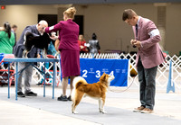 Dogshow 2023-10-22 NSCA and Rapid City--092518