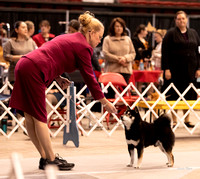 Dogshow 2023-10-22 NSCA and Rapid City--092739