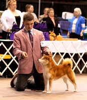 Dogshow 2023-10-22 NSCA and Rapid City--092824-2