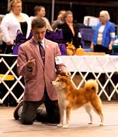 Dogshow 2023-10-22 NSCA and Rapid City--092824