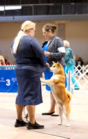 Dogshow 2023-10-22 NSCA and Rapid City--094325