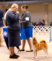 Dogshow 2023-10-22 NSCA and Rapid City--094430