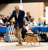Dogshow 2023-10-22 NSCA and Rapid City--095347-2