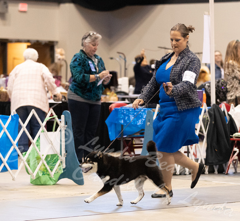 Dogshow 2023-10-22 NSCA and Rapid City--095354-2