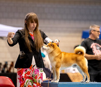 Dogshow 2023-10-21 NSCA and Rapid City--153623