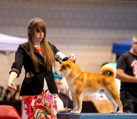 Dogshow 2023-10-21 NSCA and Rapid City--153624-2