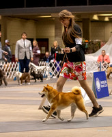Dogshow 2023-10-21 NSCA and Rapid City--153715-2