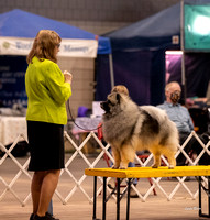 Dogshow 2023-10-21 NSCA and Rapid City--153725