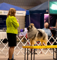 Dogshow 2023-10-21 NSCA and Rapid City--153726