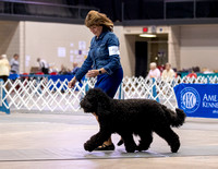 Dogshow 2023-10-20 Rapid City SD Day 1--114616-3