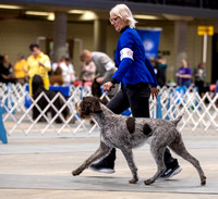 Dogshow 2023-10-20 Rapid City SD Day 1--114345