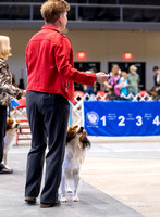 Dogshow 2023-10-20 Rapid City SD Day 1--115405