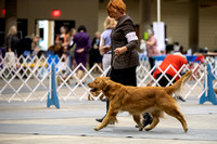 Dogshow 2023-10-20 Rapid City SD Day 1--103736