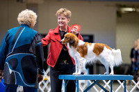 Dogshow 2023-10-20 Rapid City SD Day 1--115434