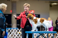 Dogshow 2023-10-20 Rapid City SD Day 1--115435