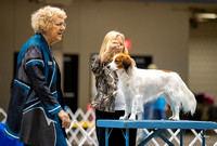 Dogshow 2023-10-20 Rapid City SD Day 1--115621