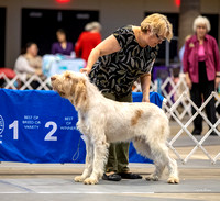 Dogshow 2023-10-20 Rapid City SD Day 1--104213