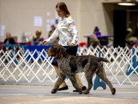 Dogshow 2023-10-20 Rapid City SD Day 1--104538