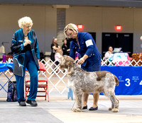 Dogshow 2023-10-20 Rapid City SD Day 1--105803