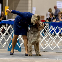 Dogshow 2023-10-20 Rapid City SD Day 1--105839
