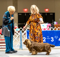 Dogshow 2023-10-20 Rapid City SD Day 1--113116