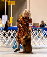 Dogshow 2023-10-20 Rapid City SD Day 1--113152-2