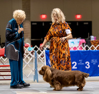 Dogshow 2023-10-20 Rapid City SD Day 1--113117