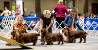 Dogshow 2023-10-20 Rapid City SD Day 1--113643