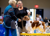 Dogshow 2023-10-20 Rapid City SD Day 1--112417
