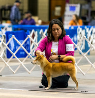 Dogshow 2023-10-21 NSCA and Rapid City--144032 copy