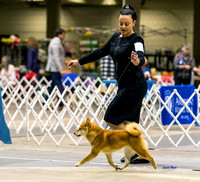 Dogshow 2023-10-21 NSCA and Rapid City--092705-3 copy
