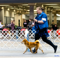 Dogshow 2023-10-21 NSCA and Rapid City--134330 copy