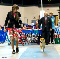 Dogshow 2023-10-21 NSCA and Rapid City--164828-4 copy