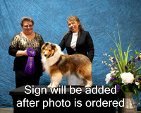 Dogshow 2024-03-02 CSSC Win Photos Sat--164221