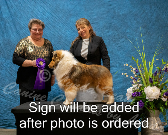 Dogshow 2024-03-02 CSSC Win Photos Sat--164241-2