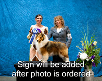 Dogshow 2024-03-03 CSSC Win Photos Sun--114306