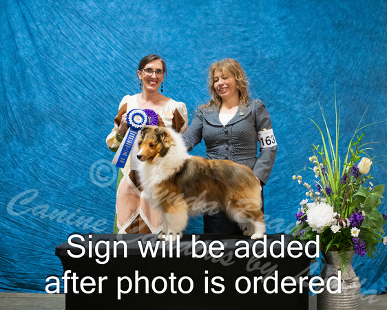 Dogshow 2024-03-03 CSSC Win Photos Sun--114307