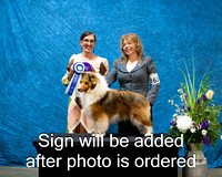 Dogshow 2024-03-03 CSSC Win Photos Sun--114308-2