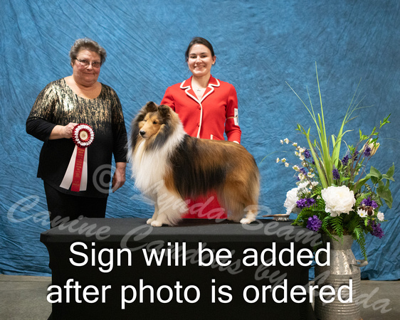 Dogshow 2024-03-02 CSSC Win Photos Sat--163810-2