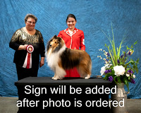 Dogshow 2024-03-02 CSSC Win Photos Sat--163812