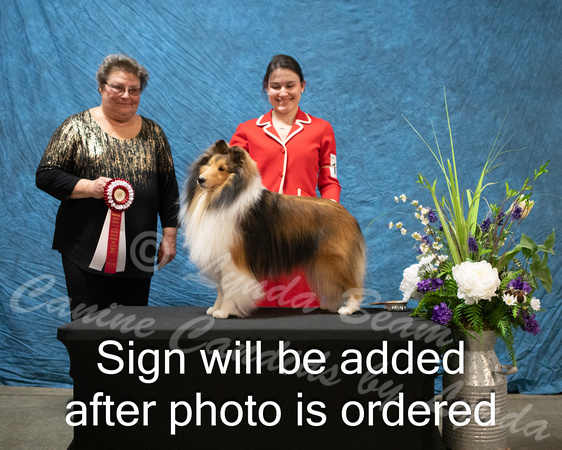 Dogshow 2024-03-02 CSSC Win Photos Sat--163812