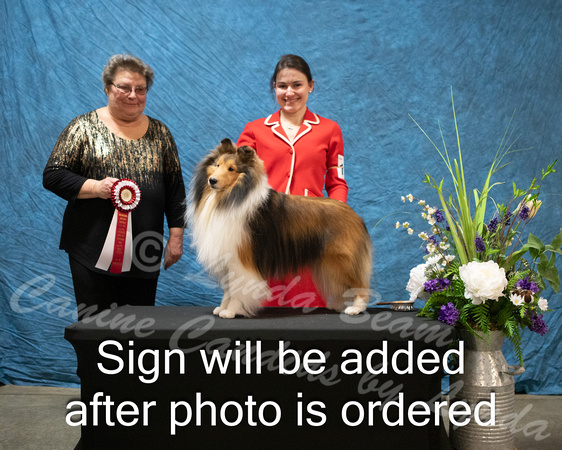 Dogshow 2024-03-02 CSSC Win Photos Sat--163813-2
