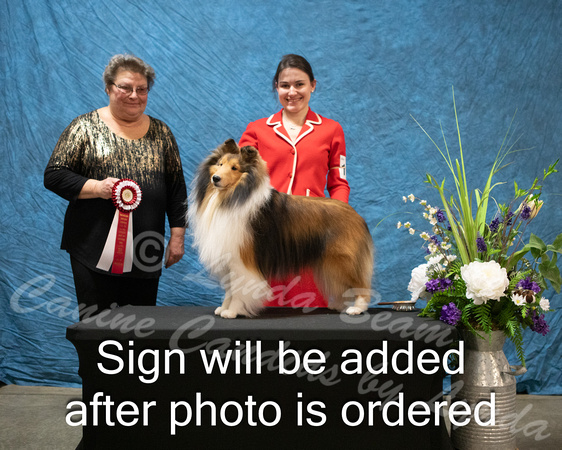 Dogshow 2024-03-02 CSSC Win Photos Sat--163814-3