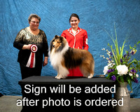 Dogshow 2024-03-02 CSSC Win Photos Sat--163816