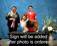 Dogshow 2024-03-02 CSSC Win Photos Sat--163818