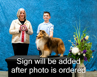 Dogshow 2024-03-03 CSSC Win Photos Sun--144801-3