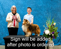 Dogshow 2024-03-03 CSSC Win Photos Sun--144812