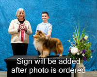 Dogshow 2024-03-03 CSSC Win Photos Sun--144840-3