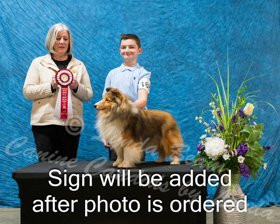 Dogshow 2024-03-03 CSSC Win Photos Sun--144840-3